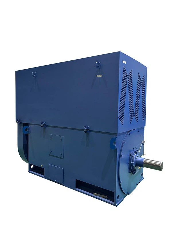 High Voltage Industrial Pump Motor